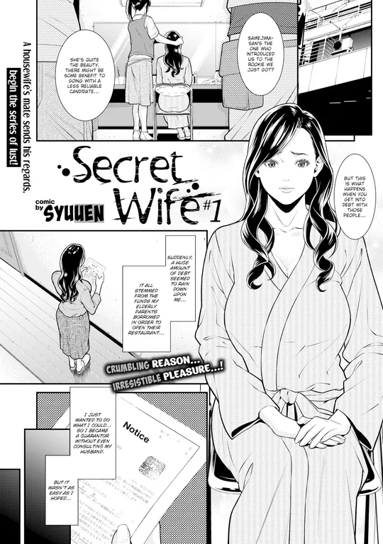 'Secret Wife #1' cover