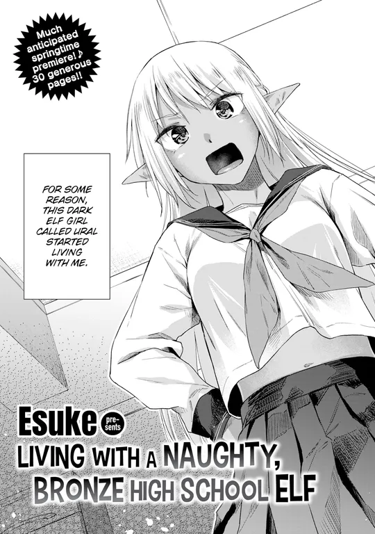 'Living With a Naughty, Bronze High School Elf' cover