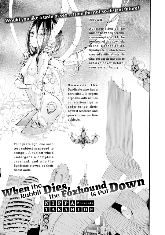 'When the Rabbit Dies, the Foxhound is Put Down' cover