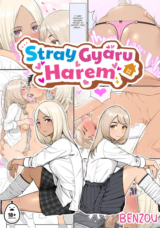 'Stray Gyaru Harem' cover