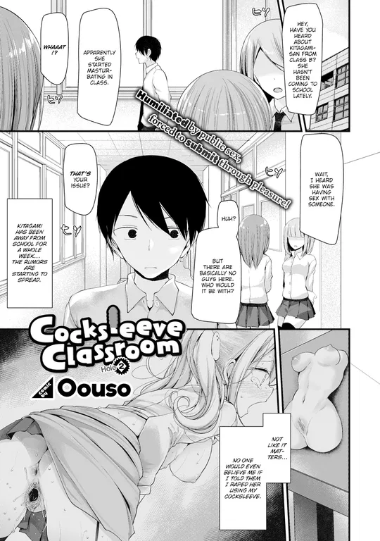 'Cocksleeve Classroom - Hole 2' cover