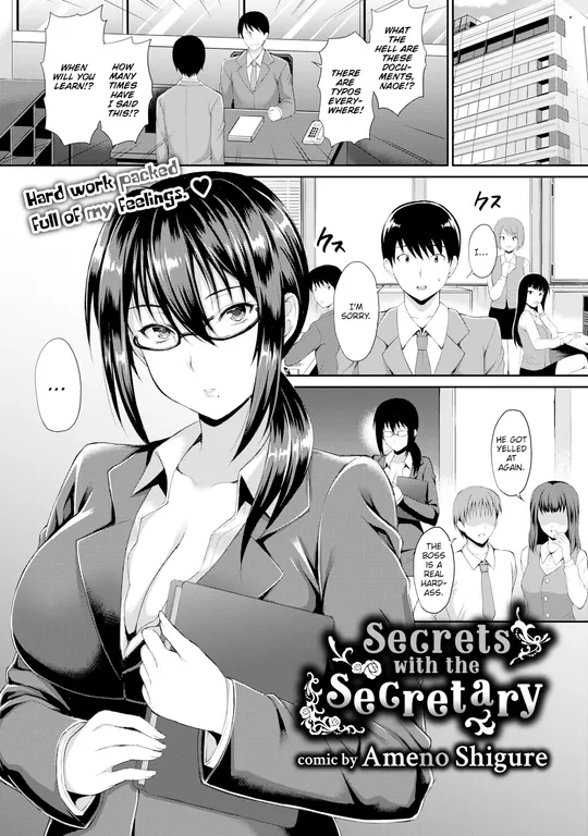 'Secrets with the Secretary' cover