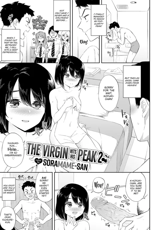 'The Virgin Hits His Peak 2' cover