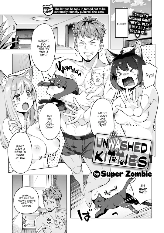 'Unwashed Kitties' cover