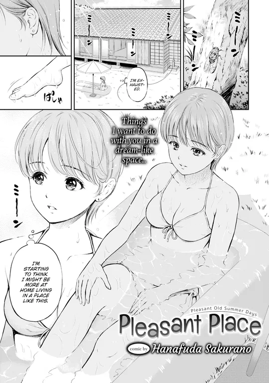 'Pleasant Place' cover