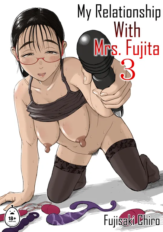 'My Relationship With Mrs. Fujita 3' cover