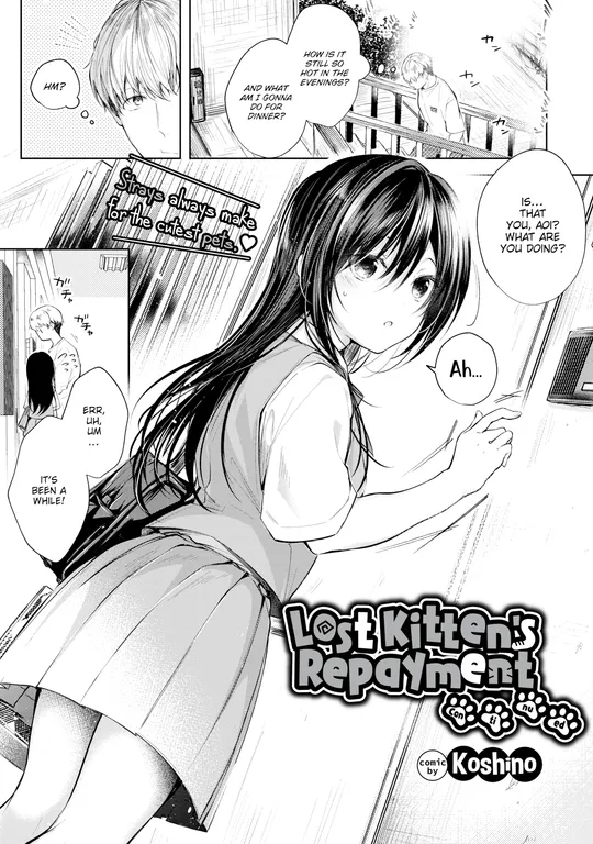 'Lost Kitten's Repayment - Continued' cover