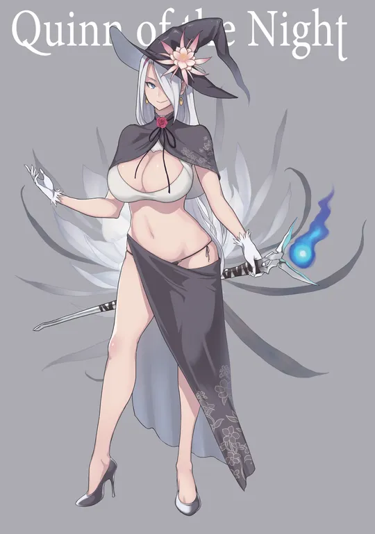 'Quinn of the Night' cover