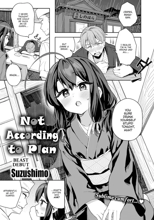 'Not According to Plan' cover