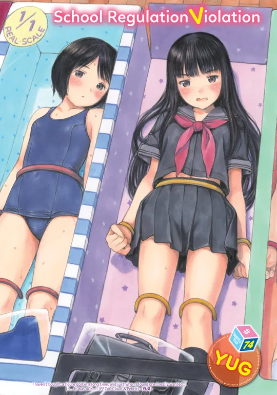 'School Regulation Violation #74' cover