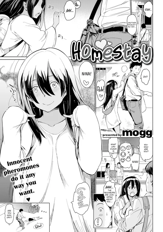 'Homestay' cover