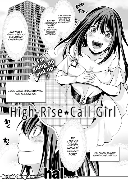 'High-Rise Call Girl' cover