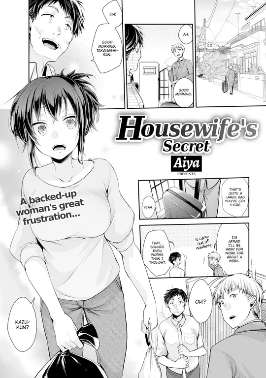 'Housewife's Secret' cover