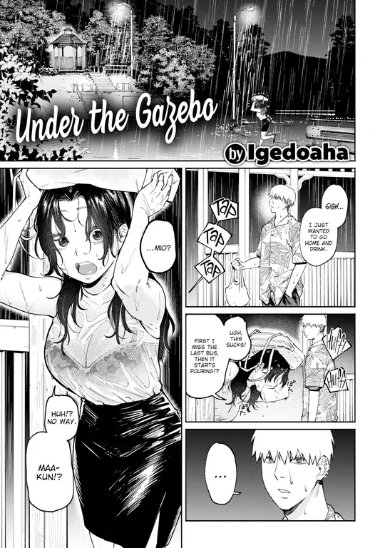 'Under the Gazebo' cover