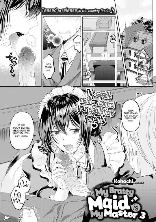 'My Bratty Maid is My Master 3' cover