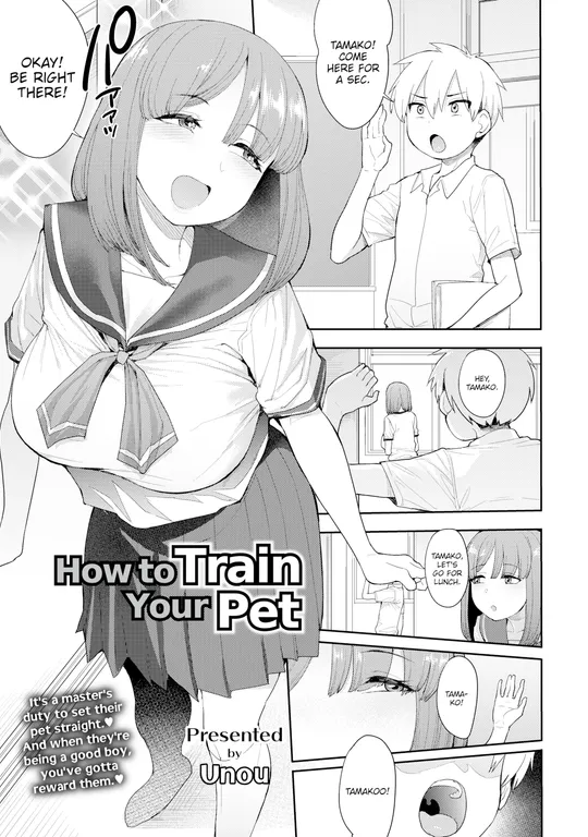 'How to Train Your Pet' cover