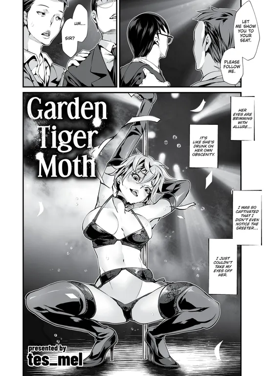 'Garden Tiger Moth' cover