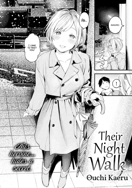 'Their Night Walk' cover