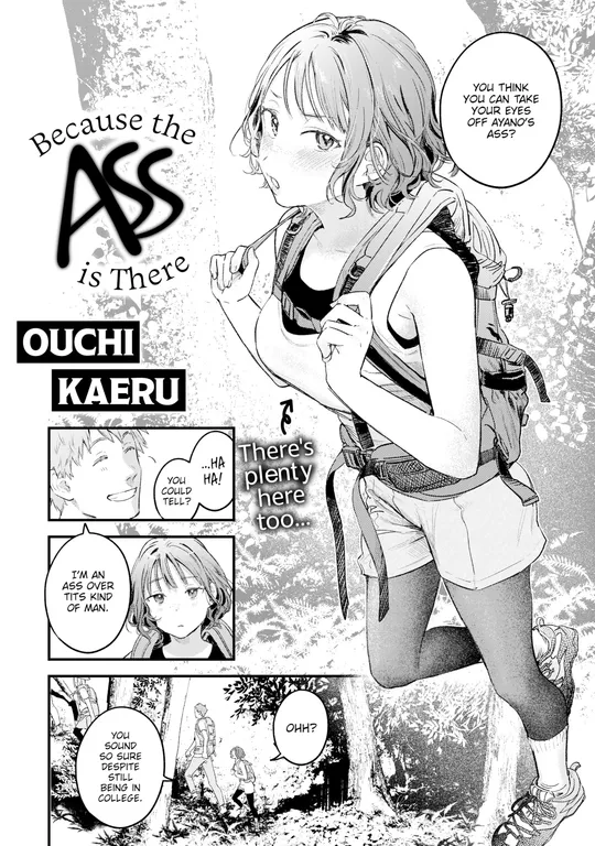 'Because the Ass is There' cover