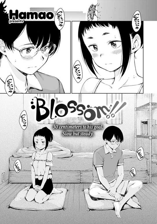 'Blossom!!' cover