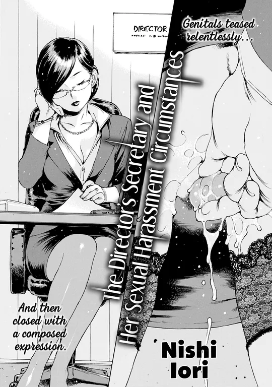 'The Director's Secretary and Her Sexual Harassment Circumstances' cover