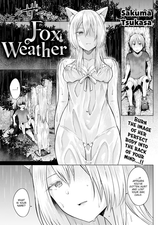 'Fox Weather' cover
