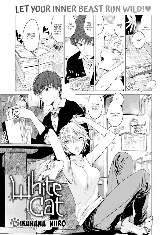 'White Cat' cover
