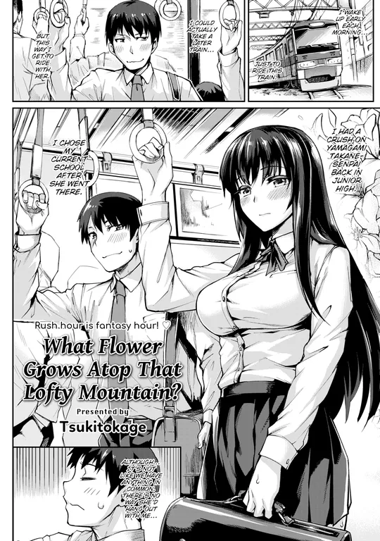 'What Flower Grows Atop That Lofty Mountain?' cover