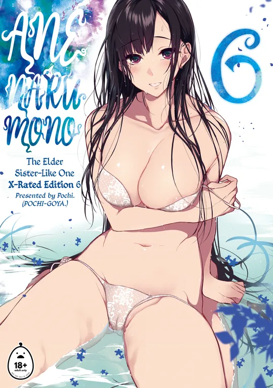 'Ane Naru Mono: The Elder-Sister Like One 6' cover