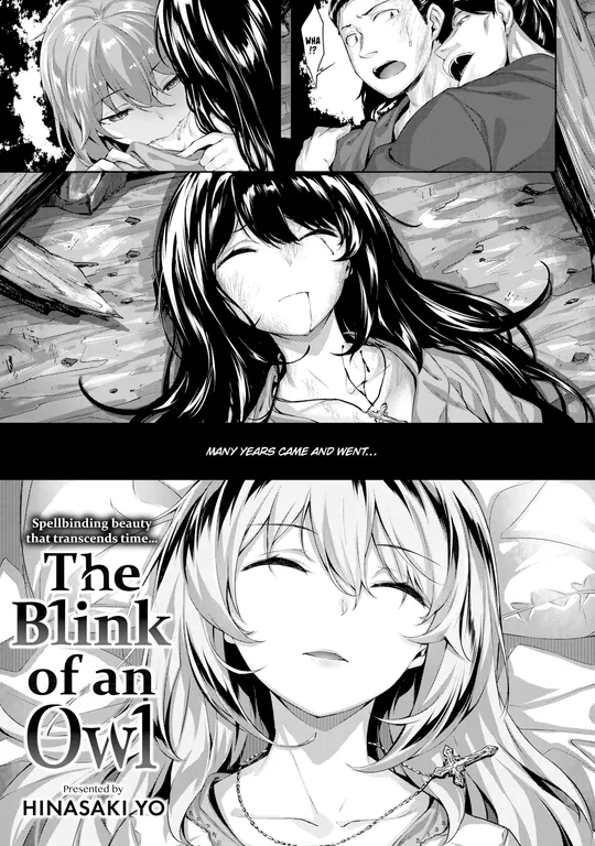 'The Blink of an Owl' cover