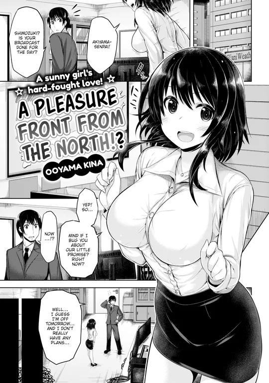 'A Pleasure Front from the North!?' cover