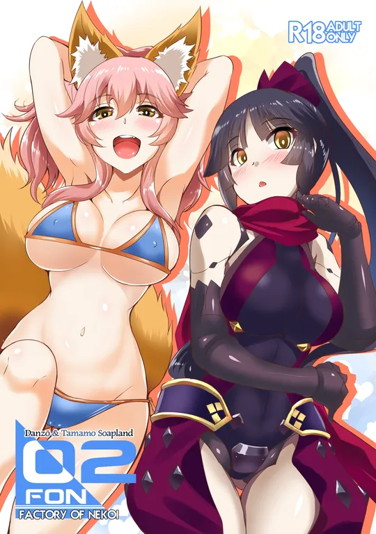 'Factory of Nekoi 02: Danzo & Tamamo Soapland' cover