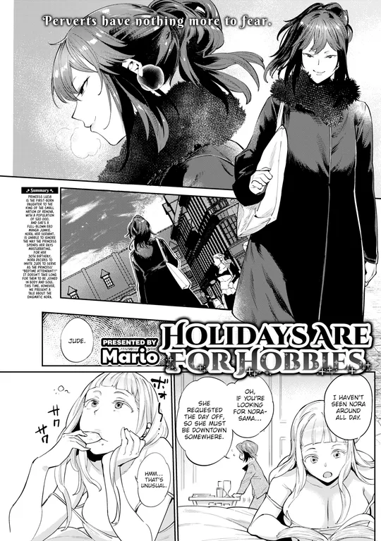 'Holidays Are For Hobbies' cover