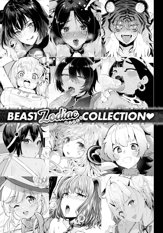 'BEAST Zodiac Girls Collection ❤' cover