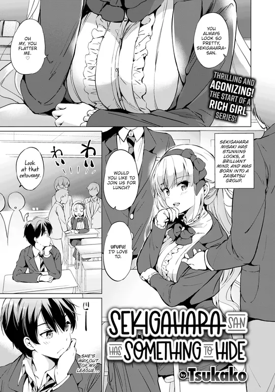 'Sekigahara-san Has Something to Hide' cover