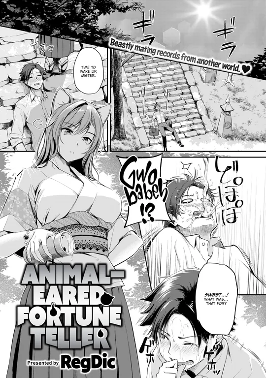 'Animal-Eared Fortune Teller' cover