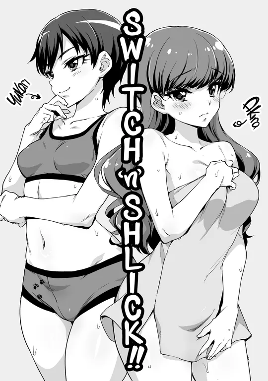 'Switch'n'Shlick' cover