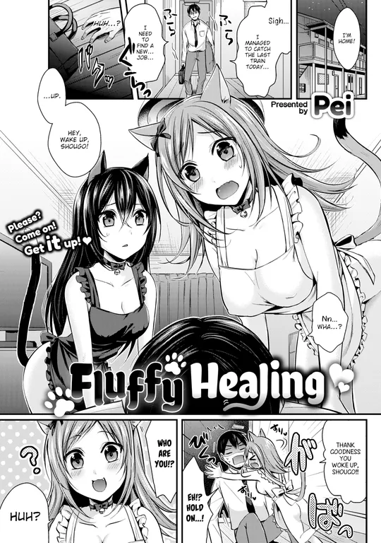 'Fluffy Healing' cover