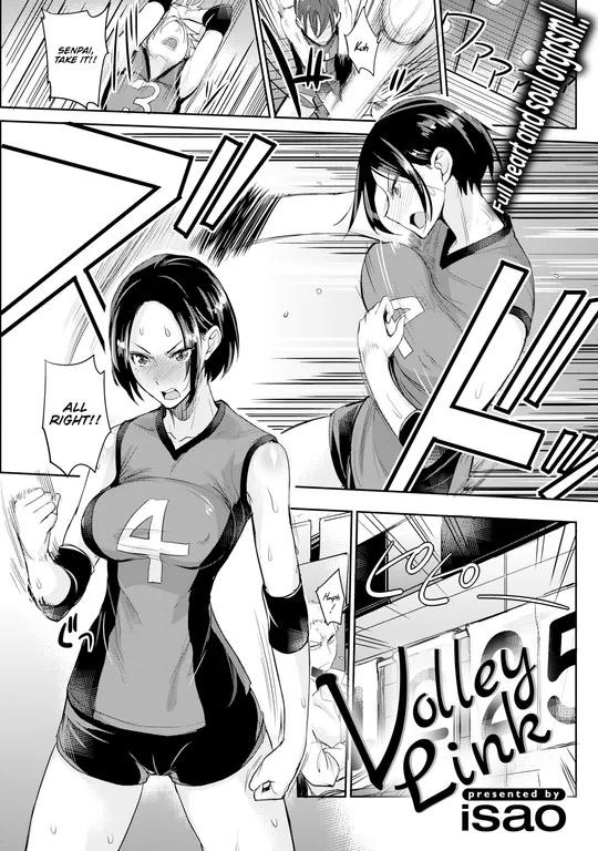 'Volley Link' cover