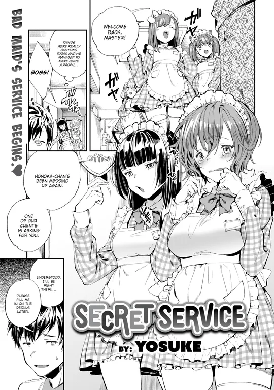 'Secret Service' cover