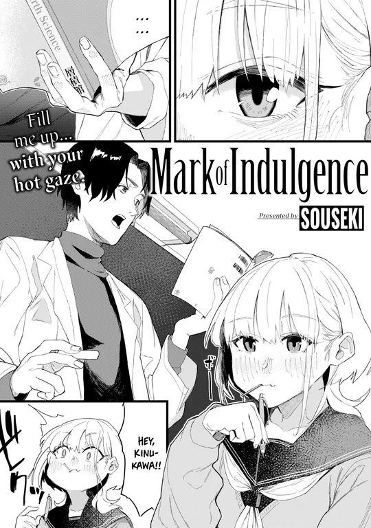 'Mark of Indulgence' cover