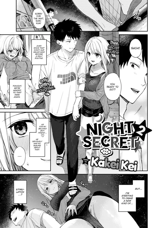 'Night Secret 2' cover