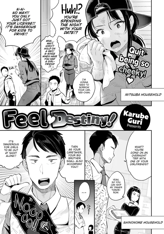 'Feel Destiny!' cover