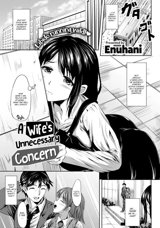 'A Wife's Unnecessary Concern' cover