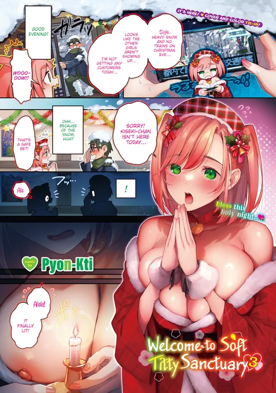 'Welcome to Soft Titty Sanctuary 3' cover
