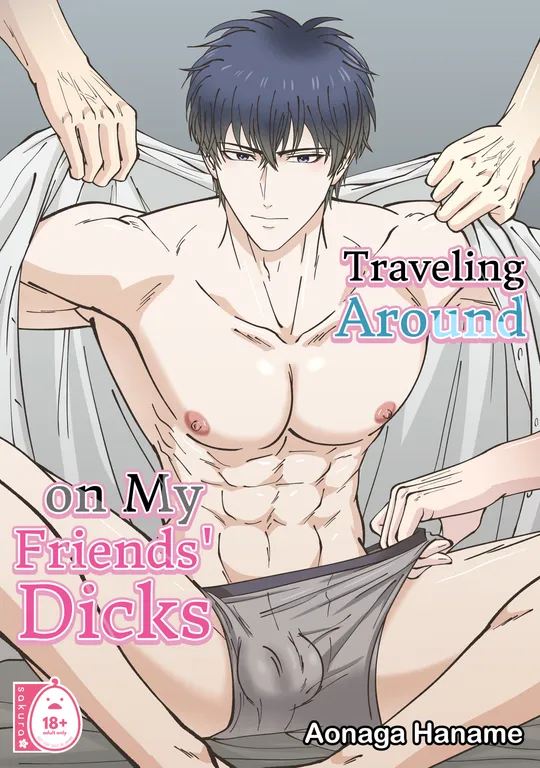 'Traveling Around on My Friends' Dicks' cover