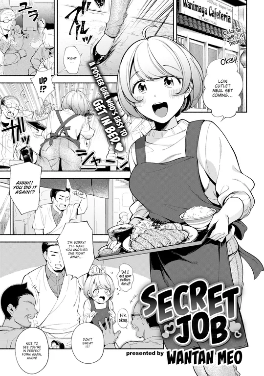 'Secret Job' cover
