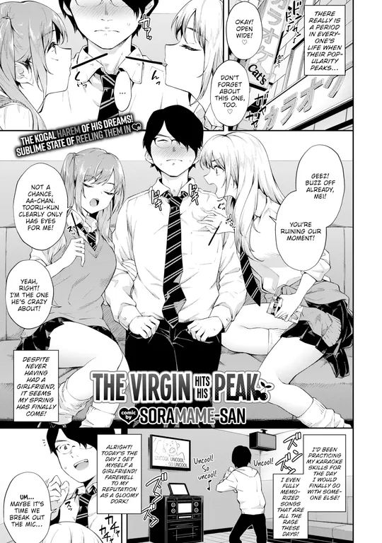 'The Virgin Hits His Peak' cover
