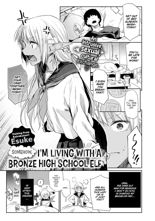 'Somehow, I'm Living With a Bronze High School Elf' cover