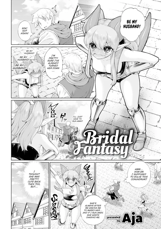 'Bridal Fantasy' cover